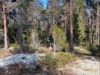 pääsiäissuunnistus.jpg pääsiäissuunnistus.jpg